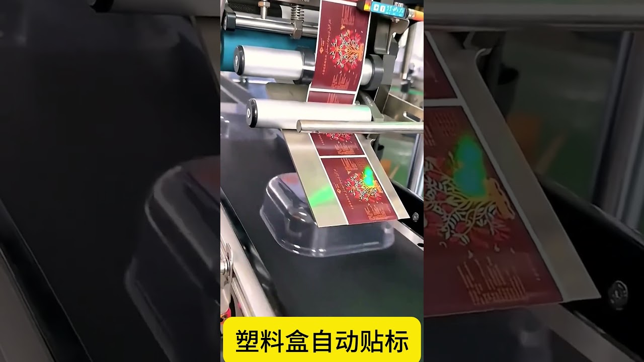 Etichettatrice Automatica per Superfici Piatte per Scatole di Plastica e Blister - Etichettatrice Industriale