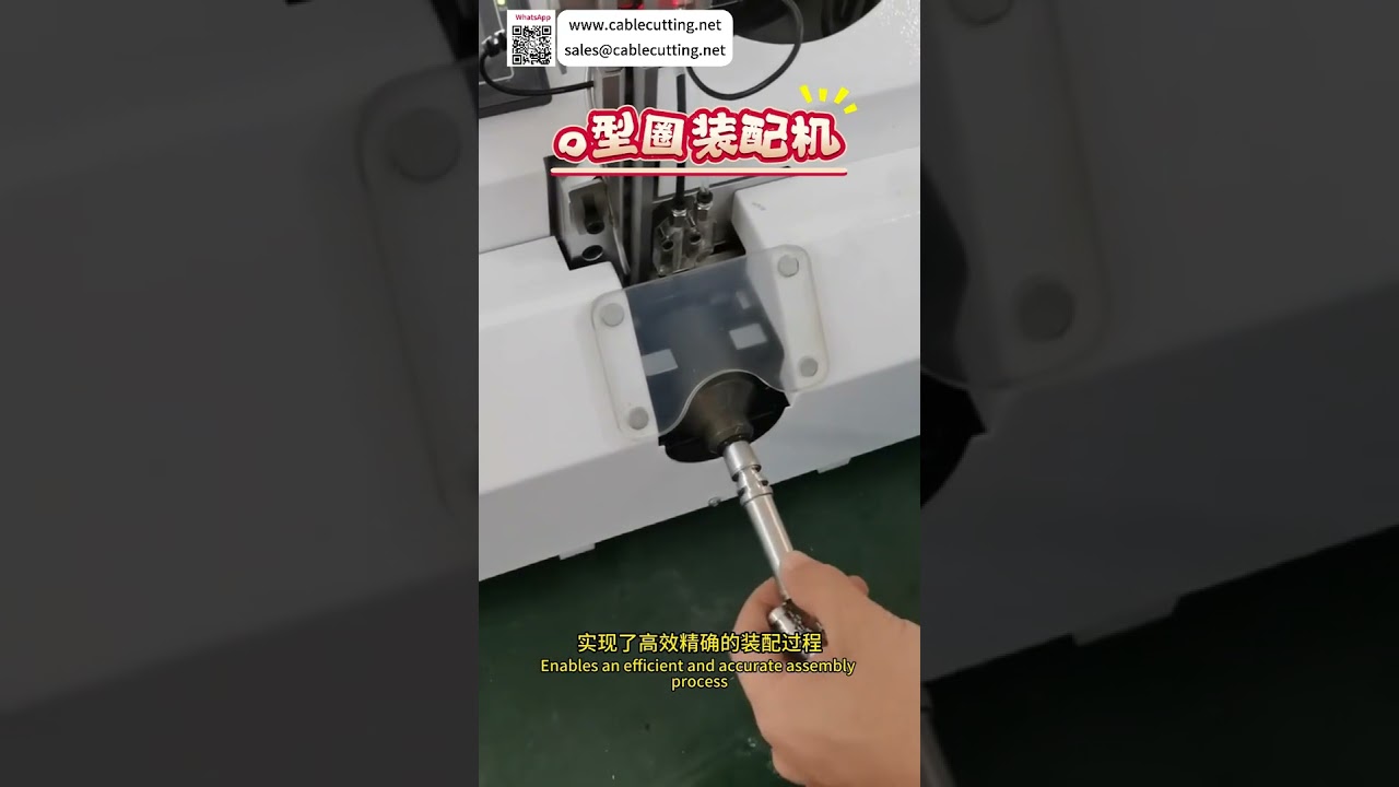 Sistemi di assemblaggio automatico affidabili: macchinari di produzione di alta precisione personalizzati