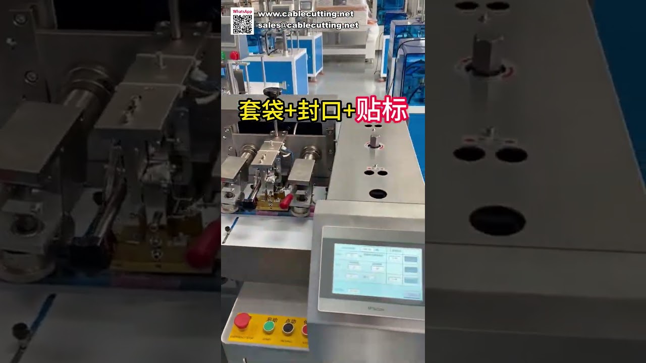Macchina automatica per imballaggio: sistema tutto-in-uno per insacchettatura, sigillatura ed etichettatura