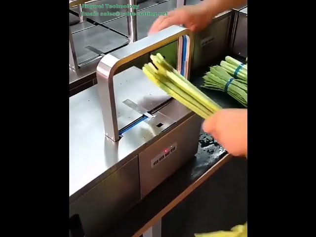 Fascetta OPP termosaldante colorata per macchine fascettatrici - Legatura automatica per verdure