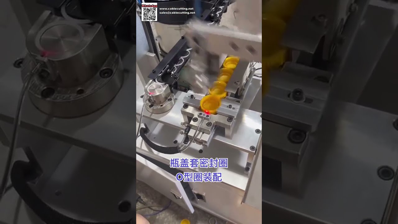 Macchina automatica per assemblaggio O-ring di qualità export per componenti di tenuta in silicone