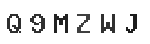 Verification Code Image